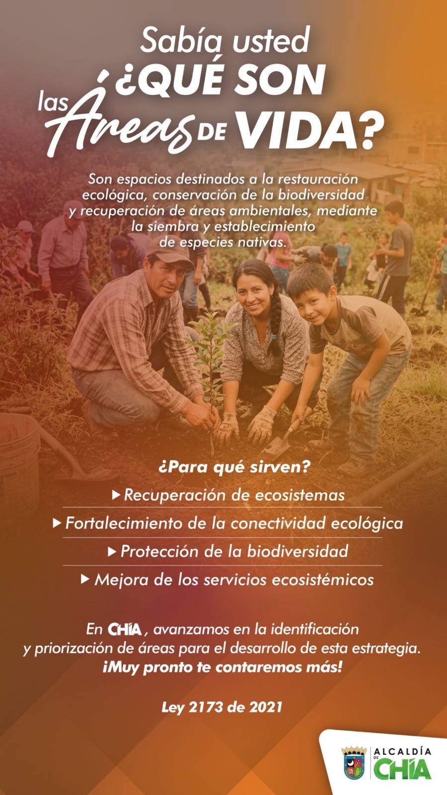 Pieza grafica areas de vida