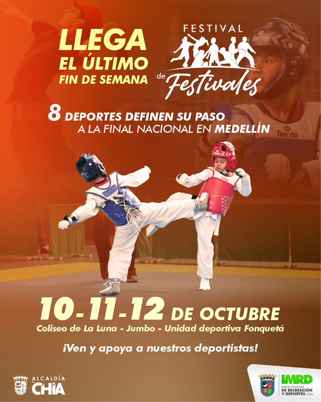 Pieza Grafica Festival de Festivales 2026