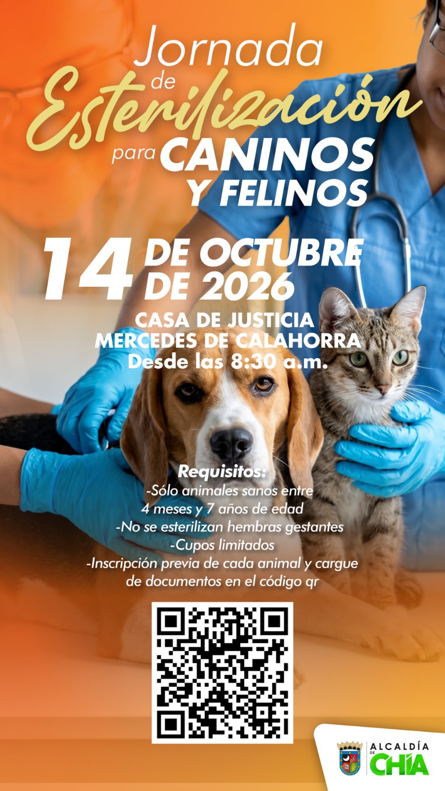 Pieza grafica Esterilización gratuita canina y felina